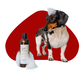 Grooming & health