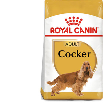 A bag of Royal Canin adult dry dog food for Cocker breed with a picture of a Cocker Spaniel dog on the front, highlighting breed nutrition, tailor-made kibble, and healthy skin & coat.