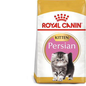 A package of Royal Canin Persian Kitten Dry Food featuring a small, rectangular kibble shape designed for Persian cats, with a prominent image of a Persian cat on the front, and text highlighting breed nutrition, tailor-made kibble, and healthy growth & long hair support.