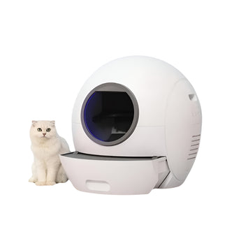 White pet litter box with a cat on a white background