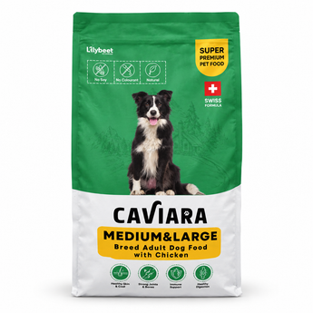 Caviara Medium and Large Breed Adult Dog Food with Chicken on white background