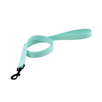 Light blue dog leash with a black clip on a white background