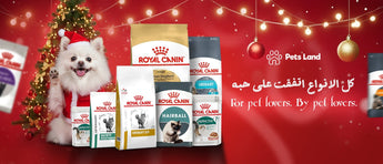 Royal Canin