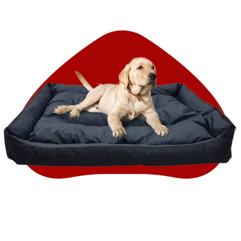 Beds