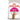 Royal Canin Protein Exigent cat food bag with a cat on a white background