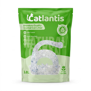 Catlantis Crystal 3.8L