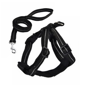 Naomi Pet Leash YL117367-M  YL117368 (BLACK/BLUE)