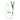 Lino Small Green Dog Harness with Leash