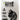 Ben To Nite Clumping Litter 5L